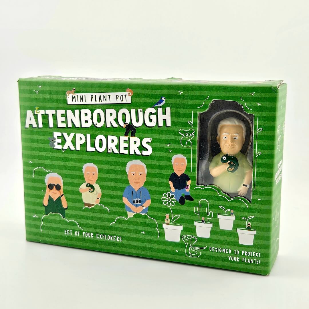 Box of Attenborough Explorers mini plant pots with a green and white design.