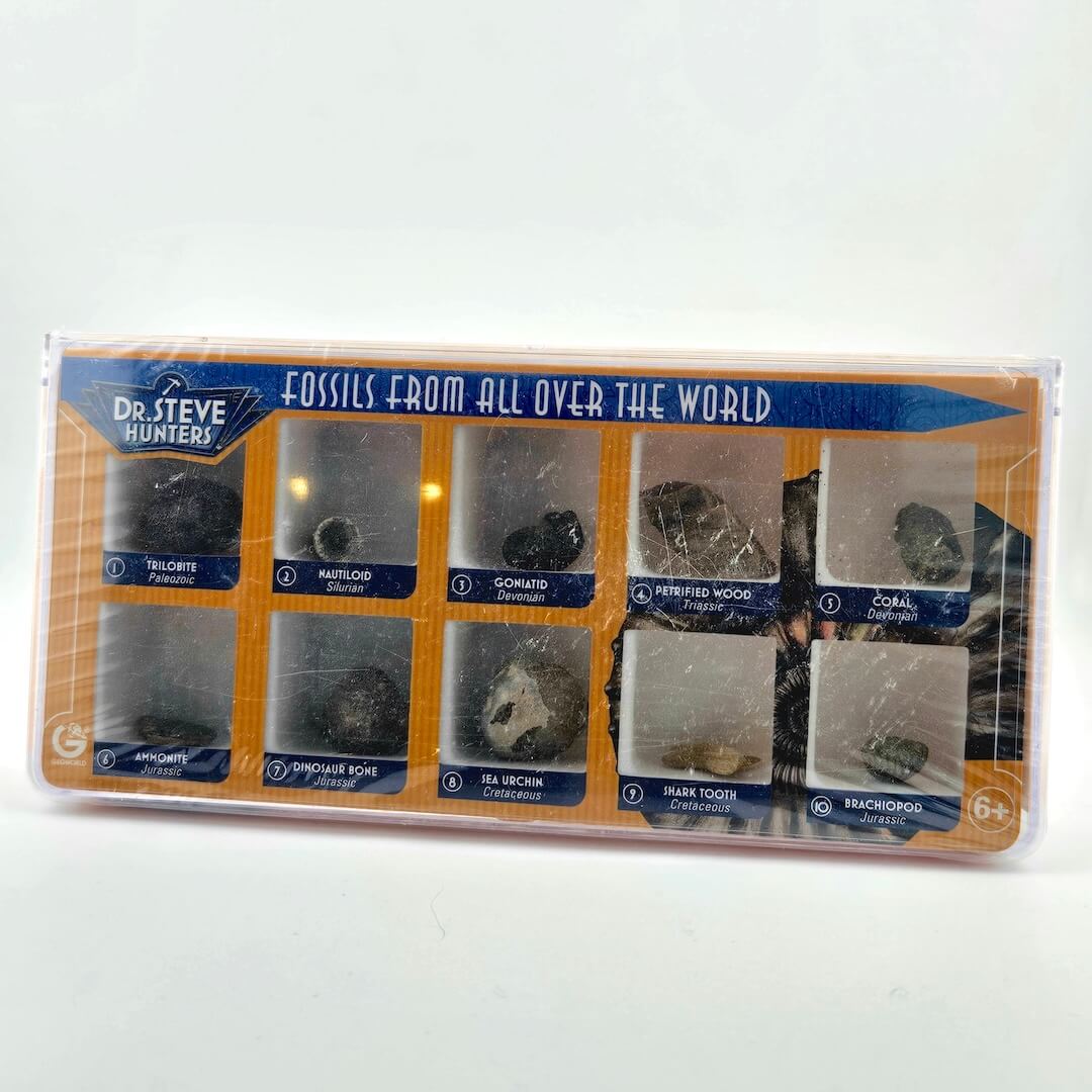 Plastic container with ten different types of fossils inside, against white background.