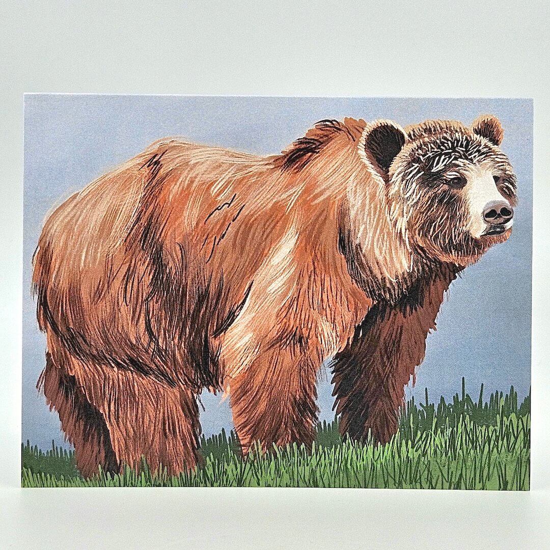 Illustration of a bear standing on grass with a blue sky background
