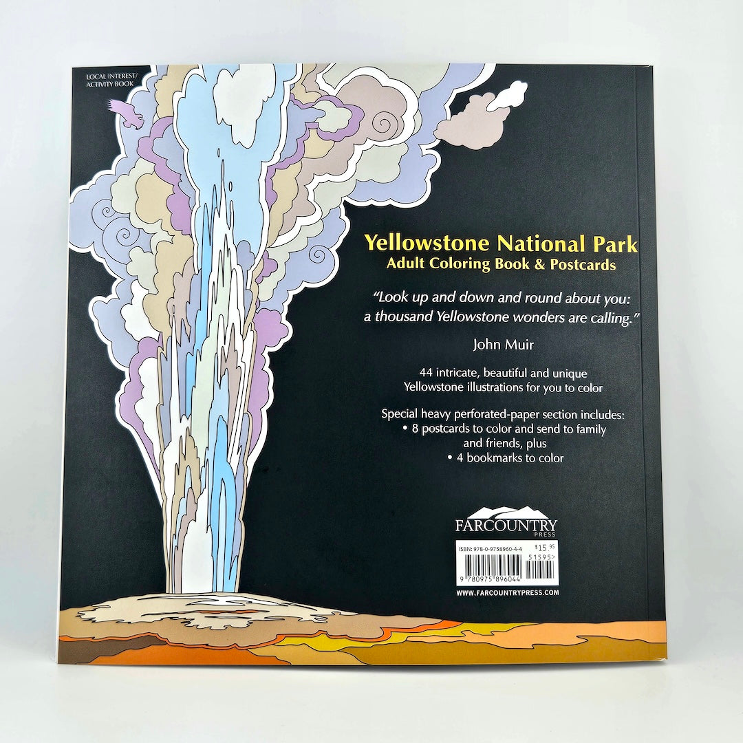 Back cover of Yellowstone National Park coloring book and postcards with artistic depiction of a geyser.