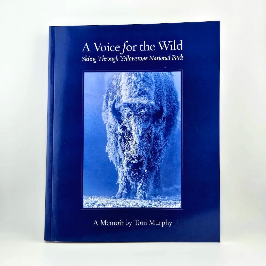 Book titled 'A Voice for the Wild: Skating Through Yellowstone National Park' by Tom Murphy on a white background