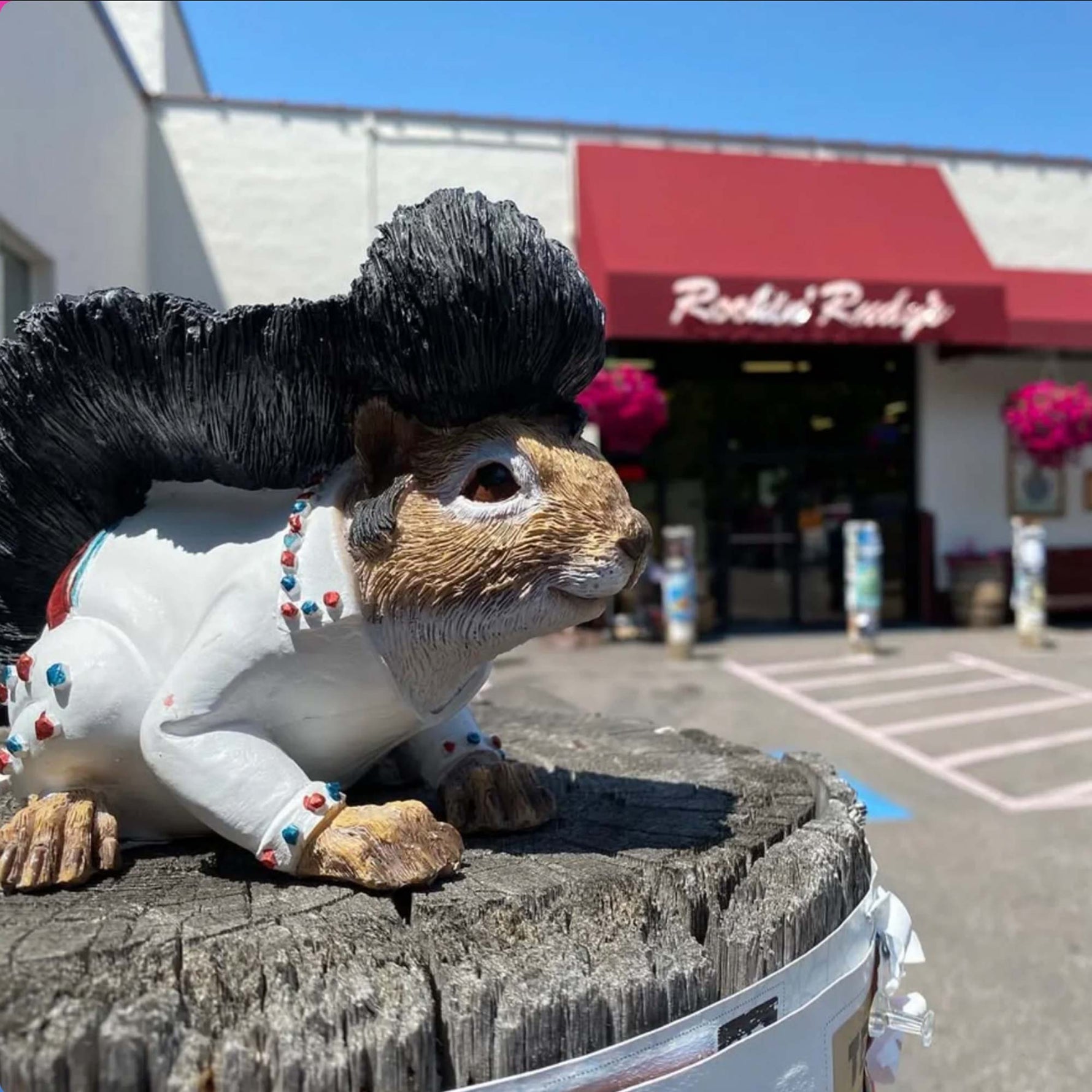 Squirrel dressed as Elvis rest on post outside Rockin Rudys storefront. 