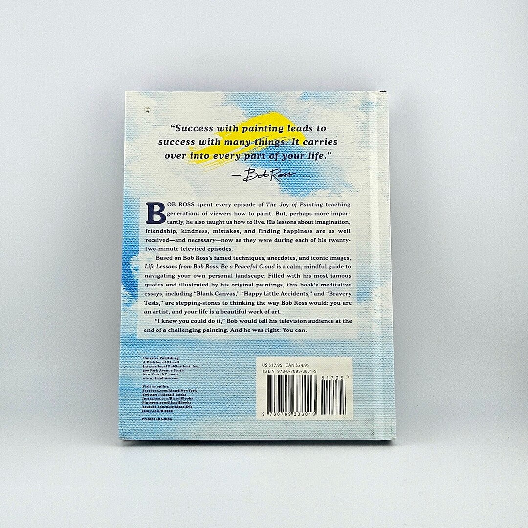 Backside of white and blue cloud covered book with summary and barcoded against gray background.