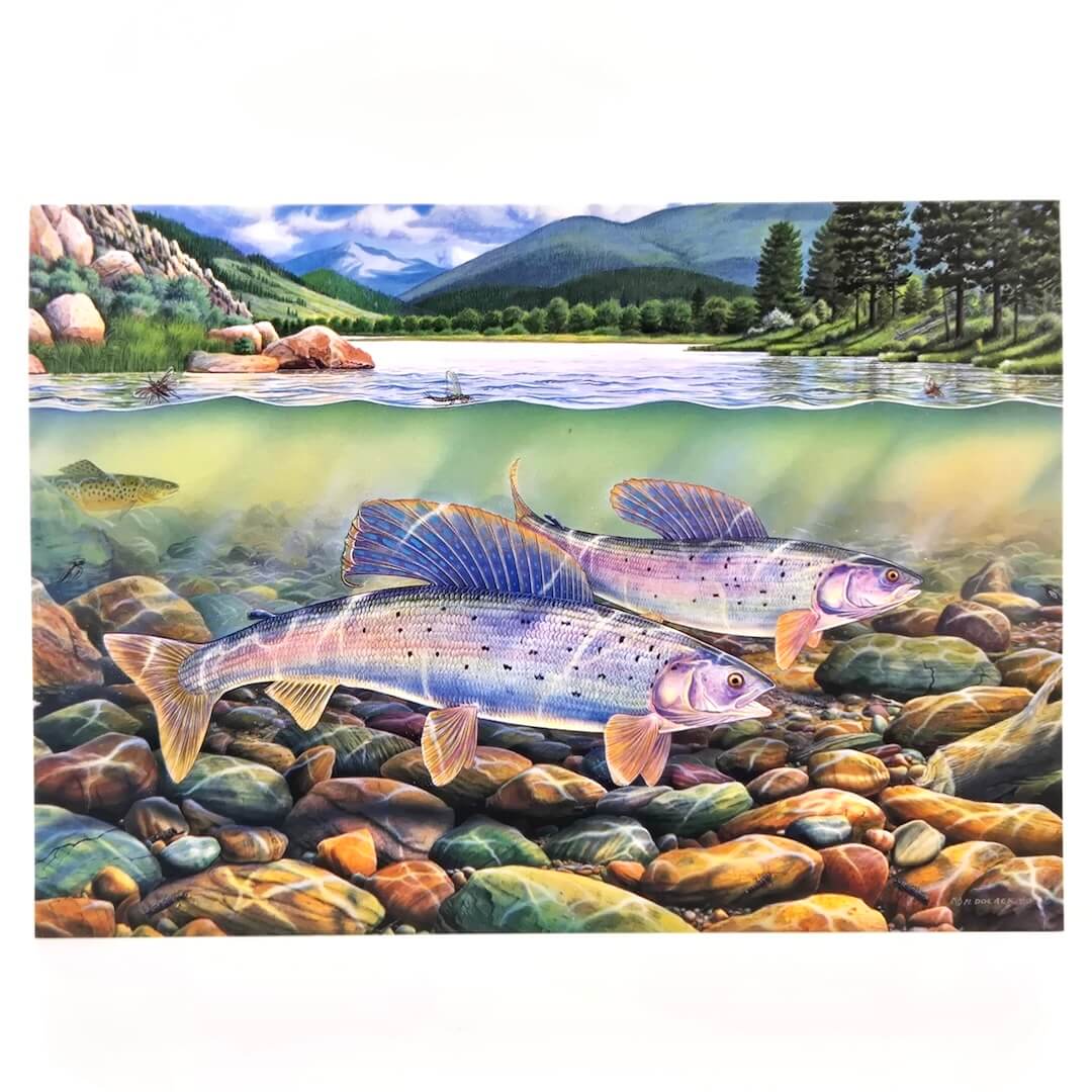 Illustration of fish underwater with a scenic lake and mountains in the background