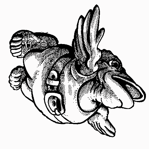 Sketch style graphic of frog with wings and wearing clothes. 